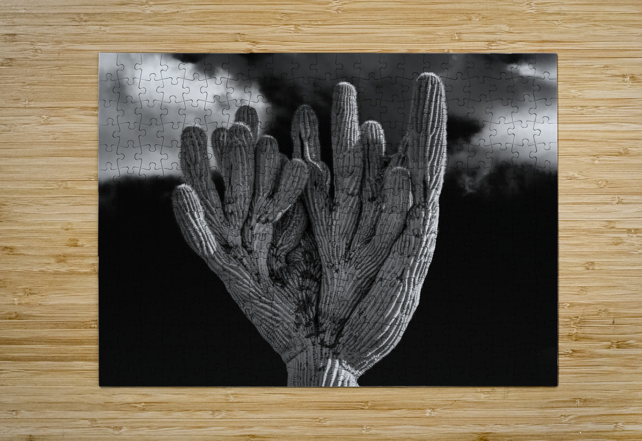 Crested Saguaro in National Park West in monochrome Steve Heap Puzzle printing