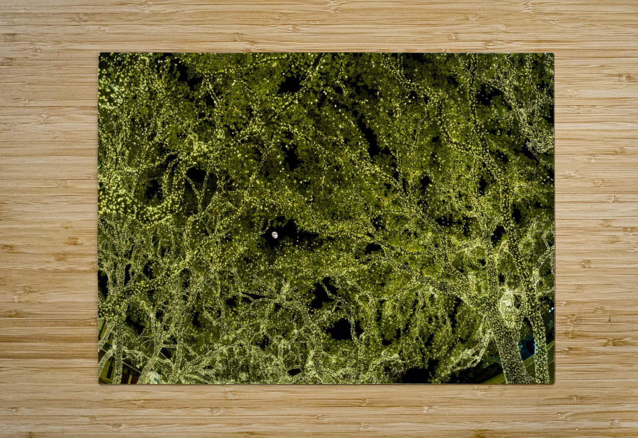 Holiday lights spectacular in trees of Johnson City Texas Steve Heap Puzzle printing