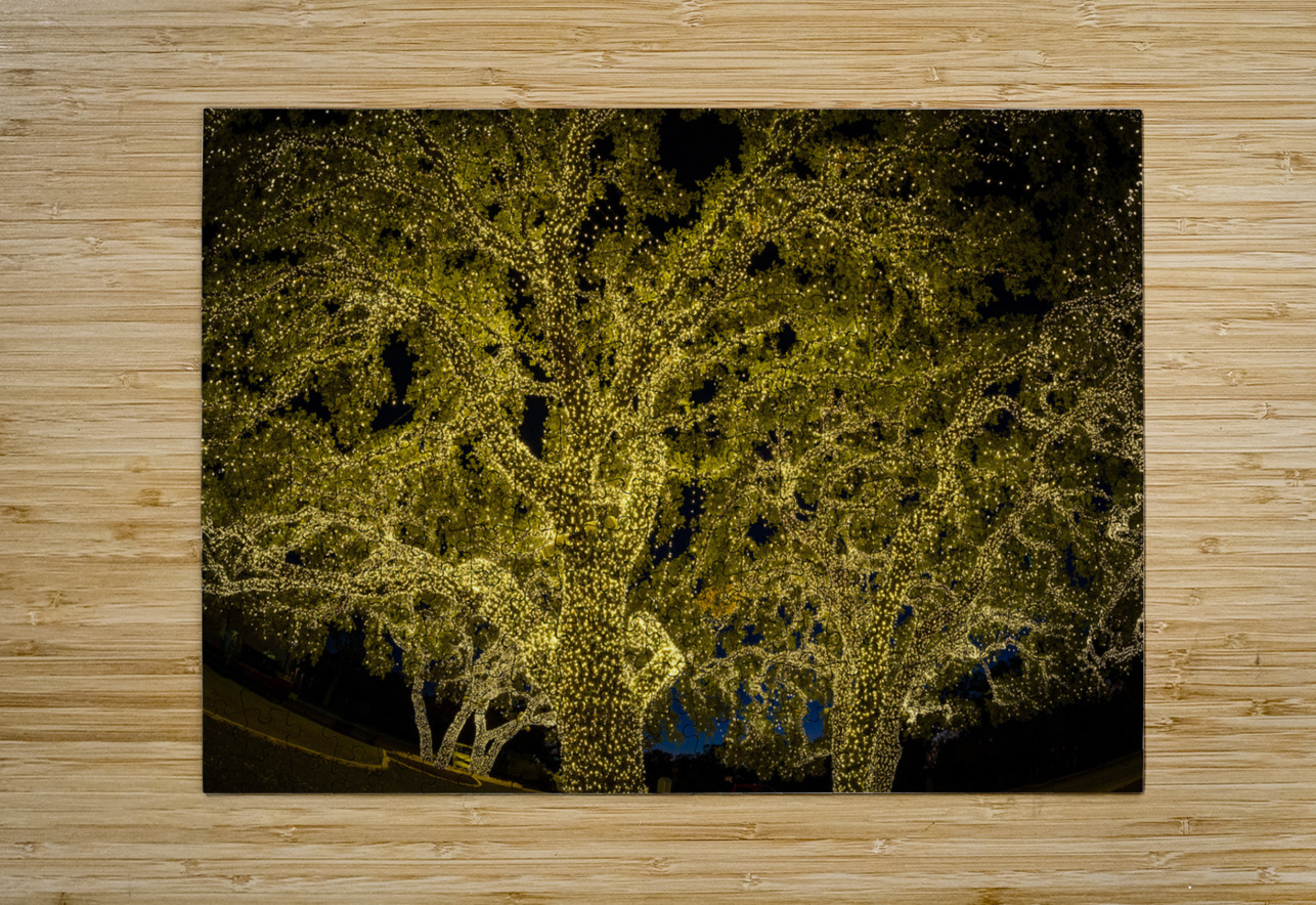 Holiday lights spectacular in Johnson City Texas Steve Heap Puzzle printing