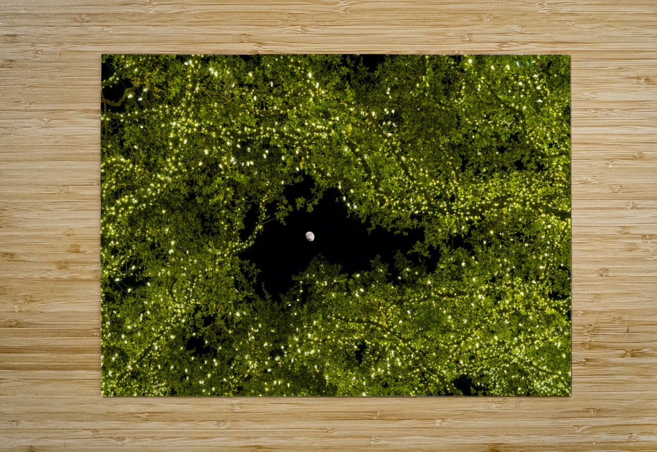 Holiday lights spectacular in trees of Johnson City Texas Steve Heap Puzzle printing