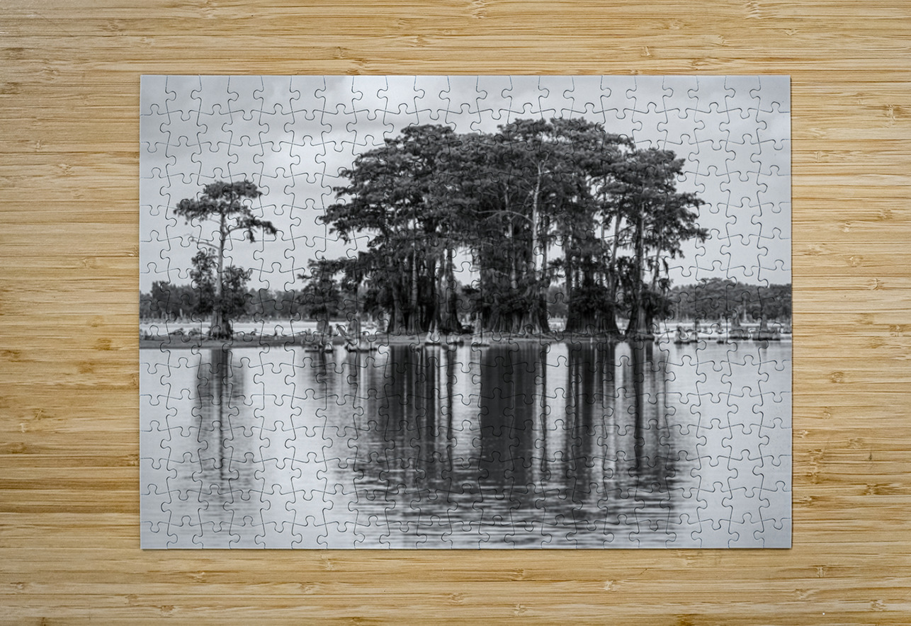 Stand of bald cypress trees rise out of water in Atchafalaya bas Steve Heap Puzzle printing