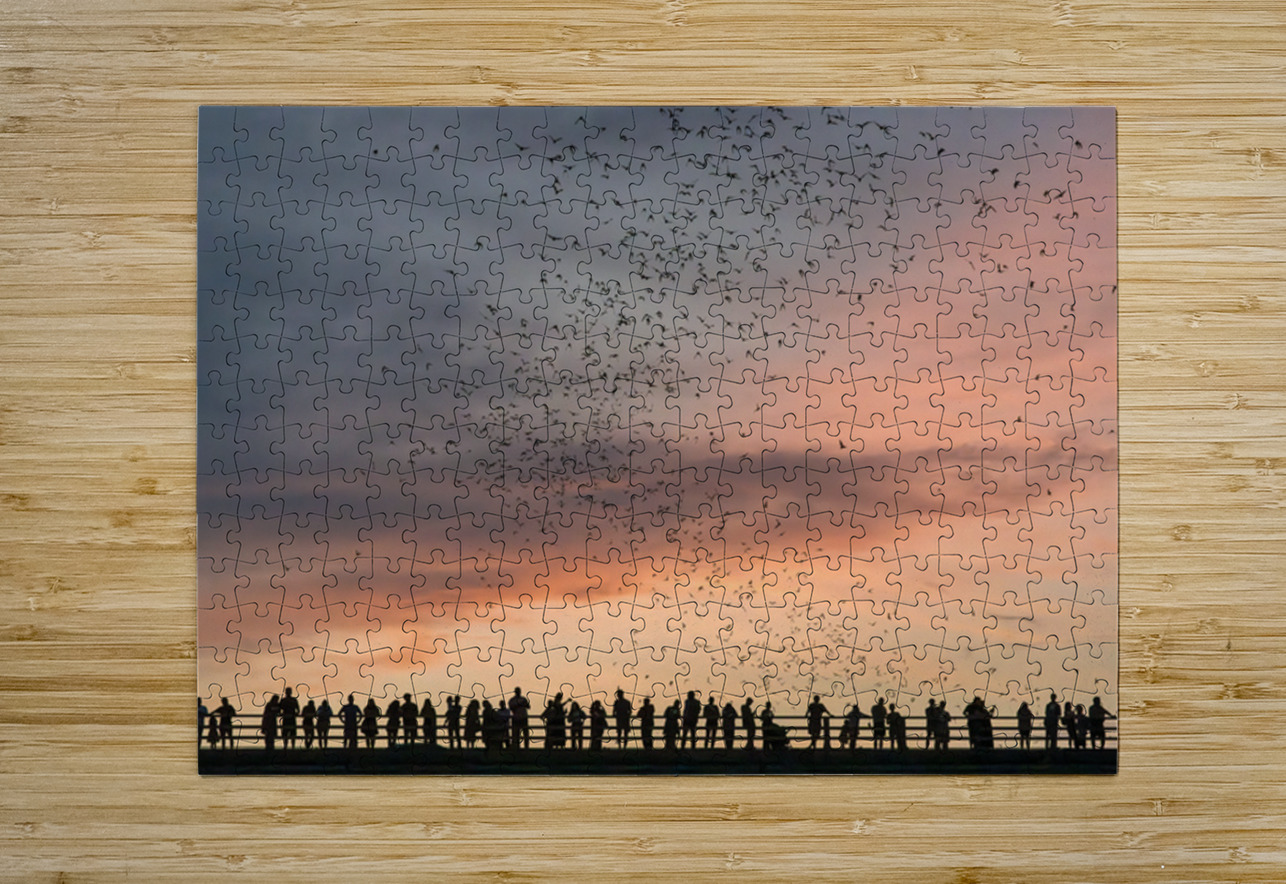 Bat watchers crowd on Congress Avenue bridge as bats fly  Steve Heap Puzzle printing