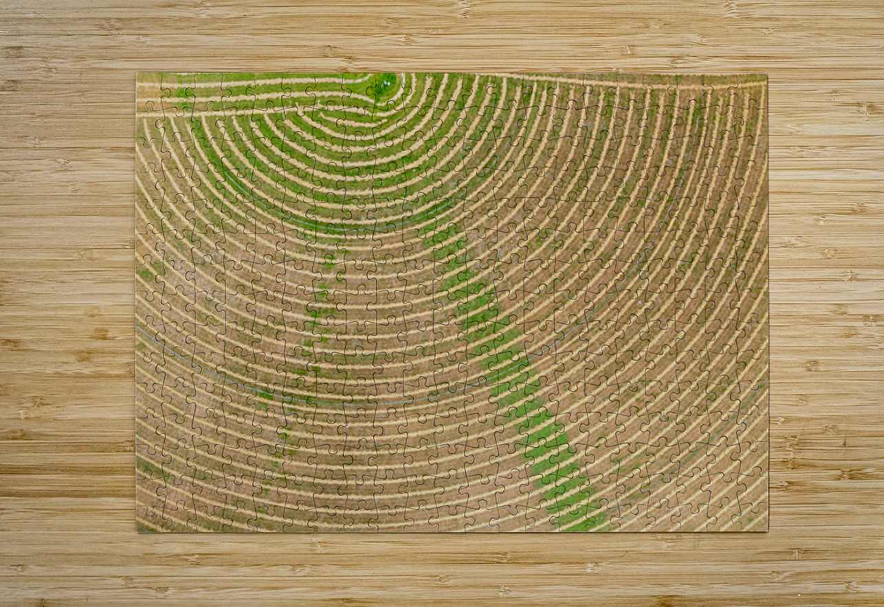 Circular pattern of crops in fields seen from drone near Winthro Steve Heap Puzzle printing