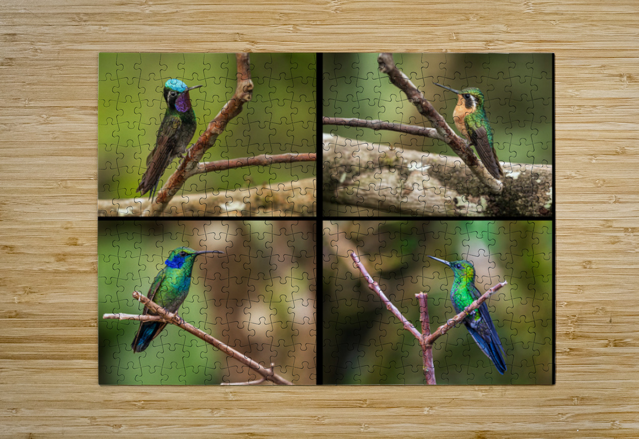 Montage of four humming birds from Costa Rica Steve Heap Puzzle printing