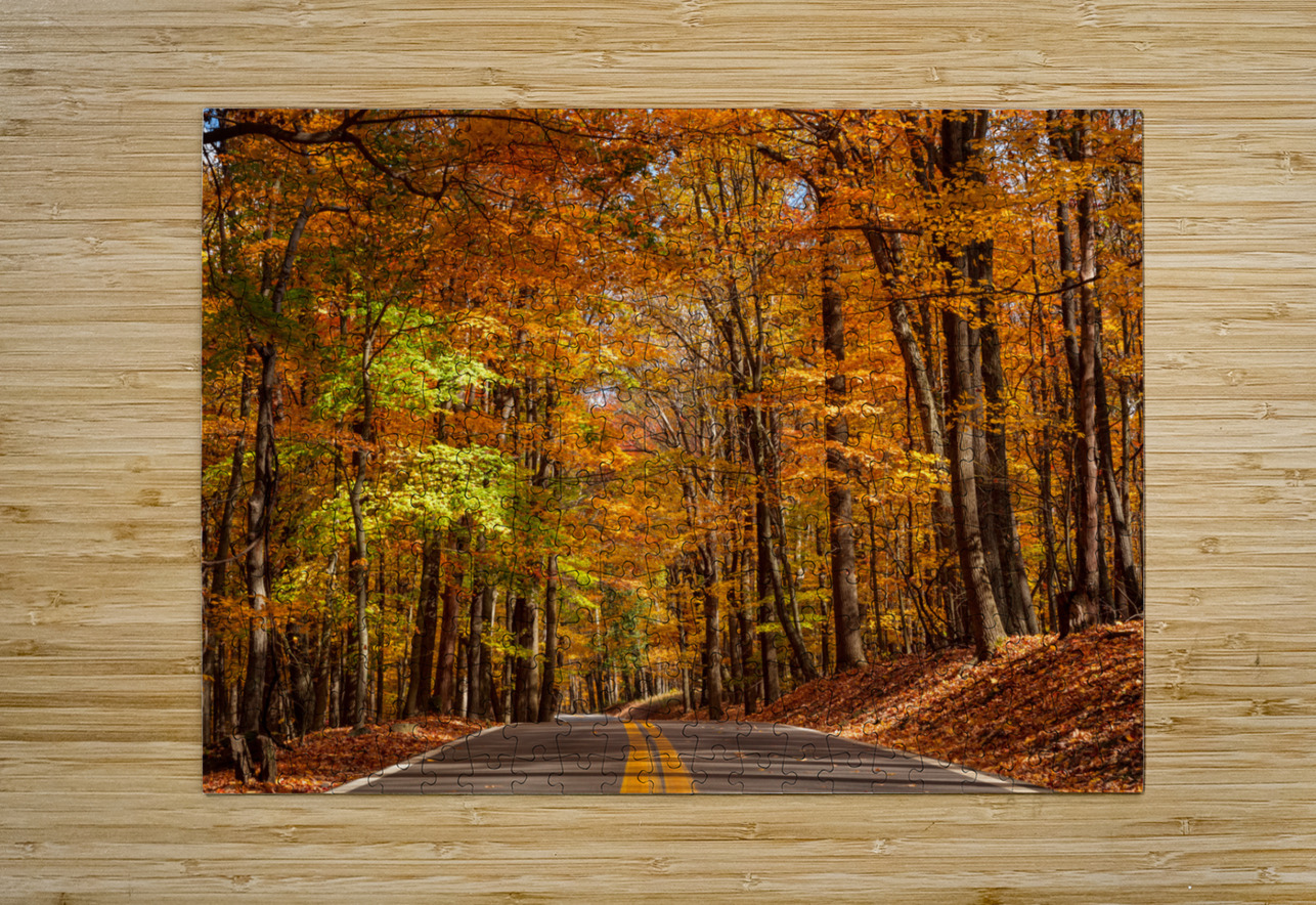 Road leading to Coopers Rock state park Steve Heap Puzzle printing