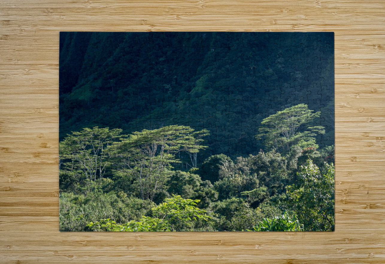 Tall albizia trees against the steep mountain slopes in Oahu Steve Heap Puzzle printing