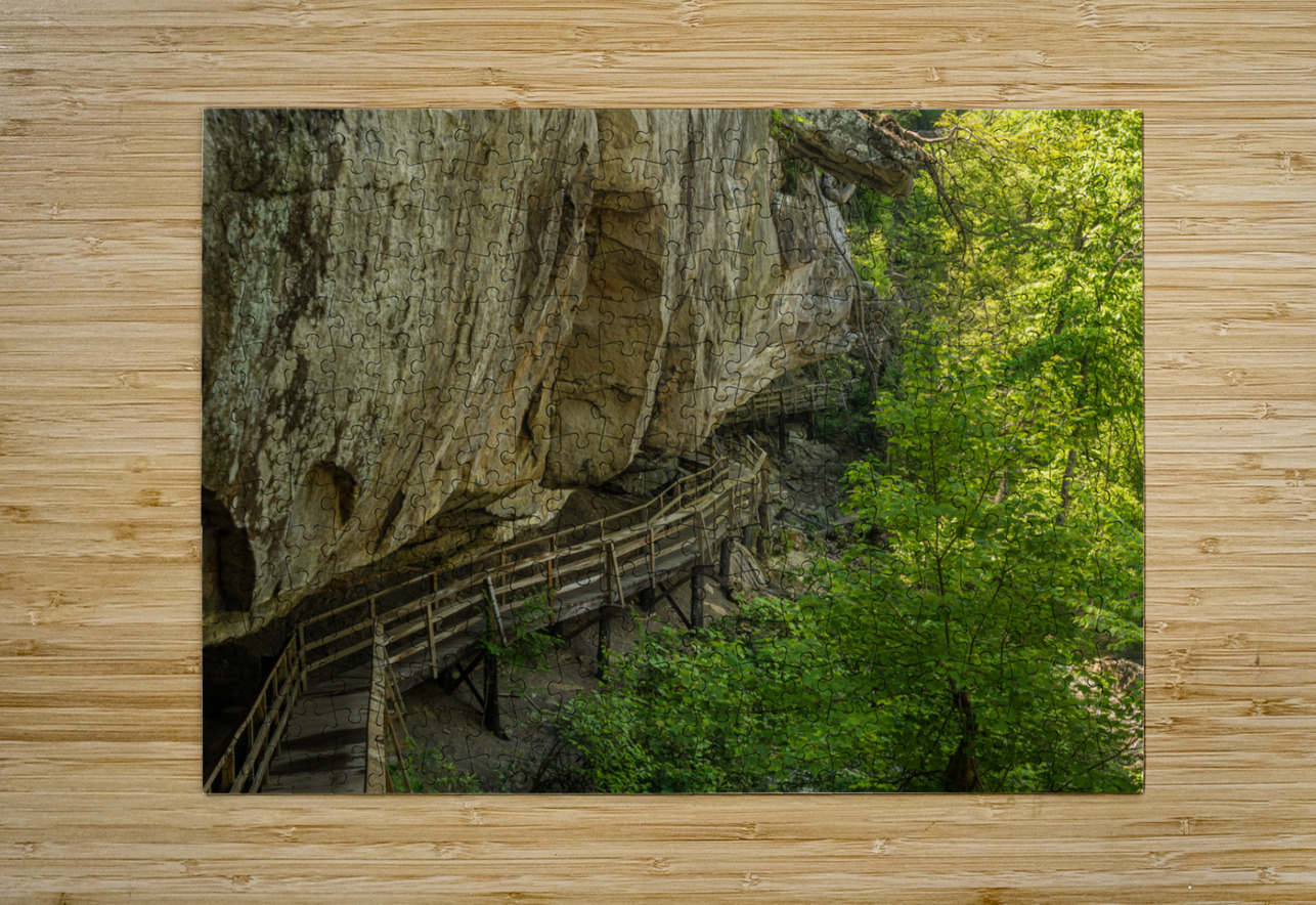 Pathway in Audra State Park near Buckhannon in West Virginia Steve Heap Puzzle printing