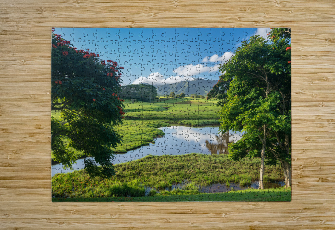 Striking Jurassic landscape on Kauai Steve Heap Puzzle printing