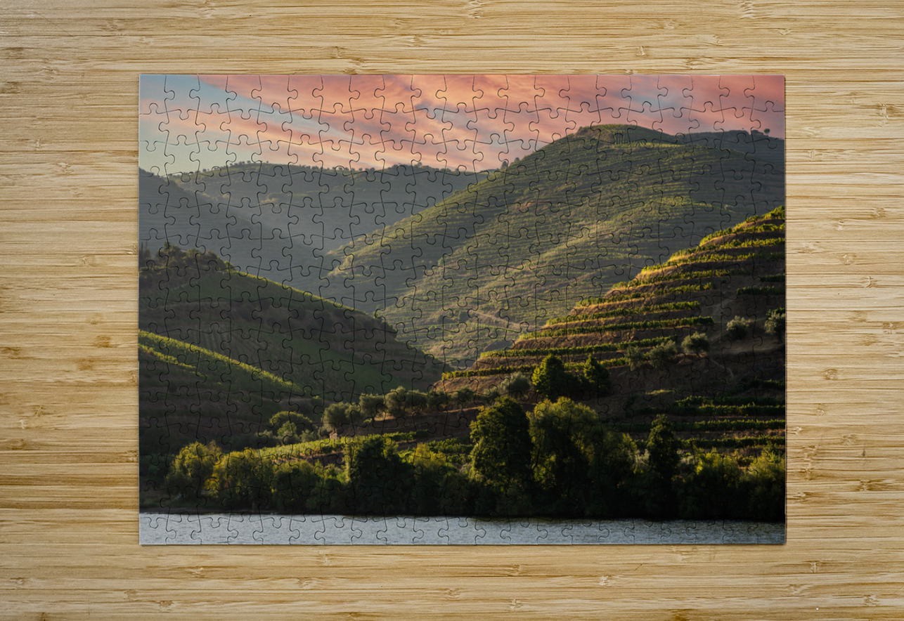 Terraced vineyard on the banks of the Douro Steve Heap Puzzle printing