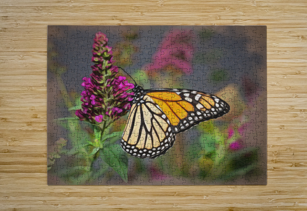 Crayon drawing of beautiful Monarch butterfly feeding in garden Steve Heap Puzzle printing