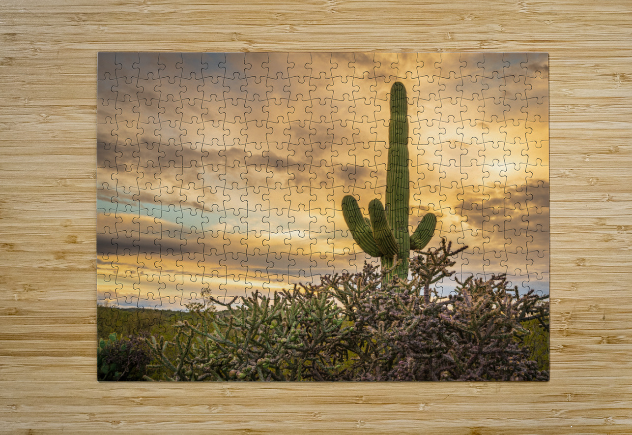 Sunset in Saguaro National Park Tucson Steve Heap Puzzle printing