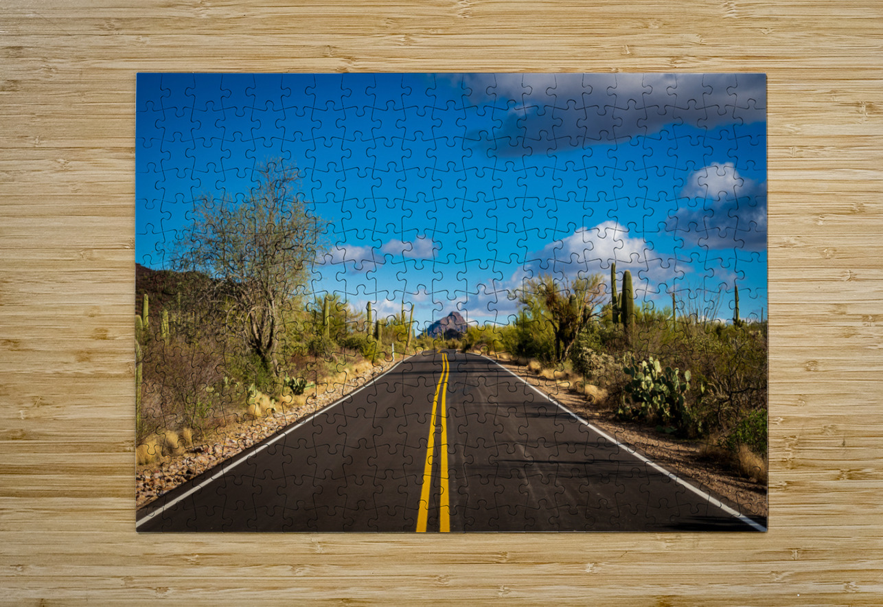 Road and cactus in Saguaro National Park Steve Heap Puzzle printing