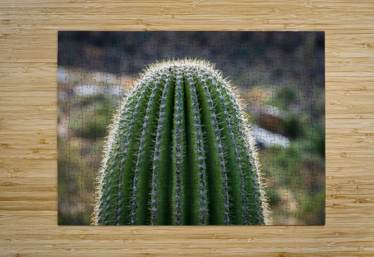 Ouch - close up of top of saguaro cactus Steve Heap Puzzle printing
