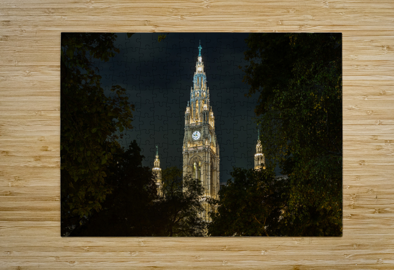  Rathaus in Vienna Austria Steve Heap Puzzle printing