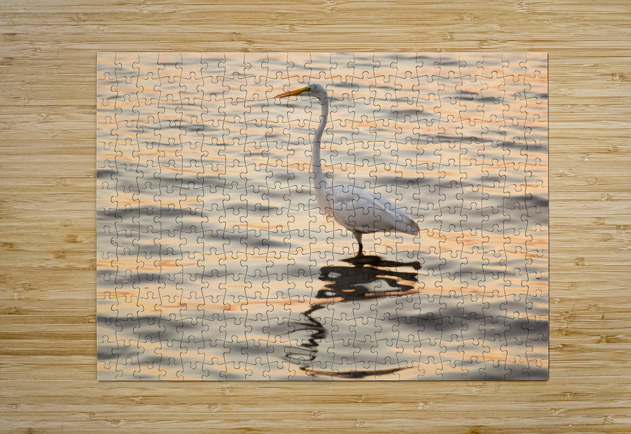 Great white egret in the sea off Tampa in Gulf Steve Heap Puzzle printing
