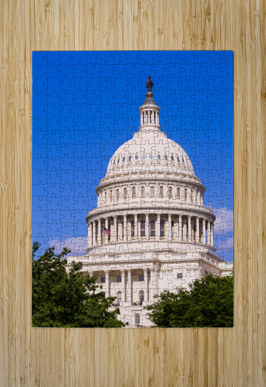 Dome of the Capitol building in Washington DC Steve Heap Puzzle printing