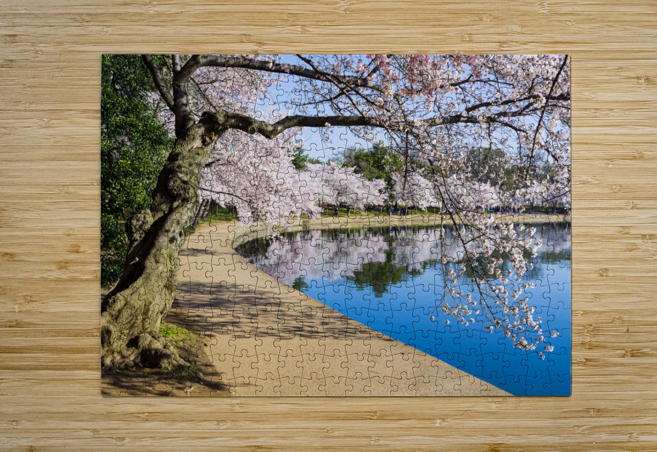 Pathway around the tidal basin during Cherry Blossom Festival Steve Heap Puzzle printing