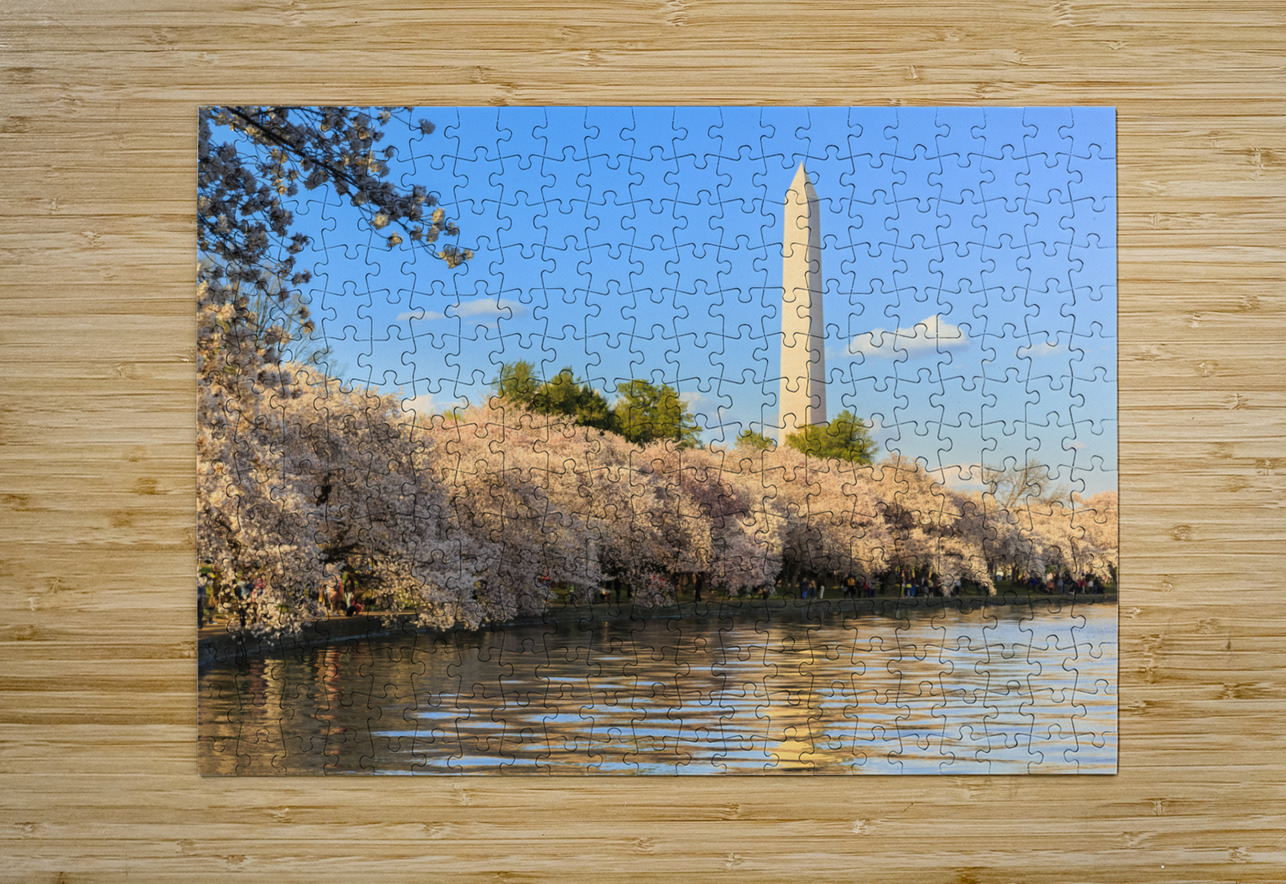 Washington Monument towers above blossoms Steve Heap Puzzle printing
