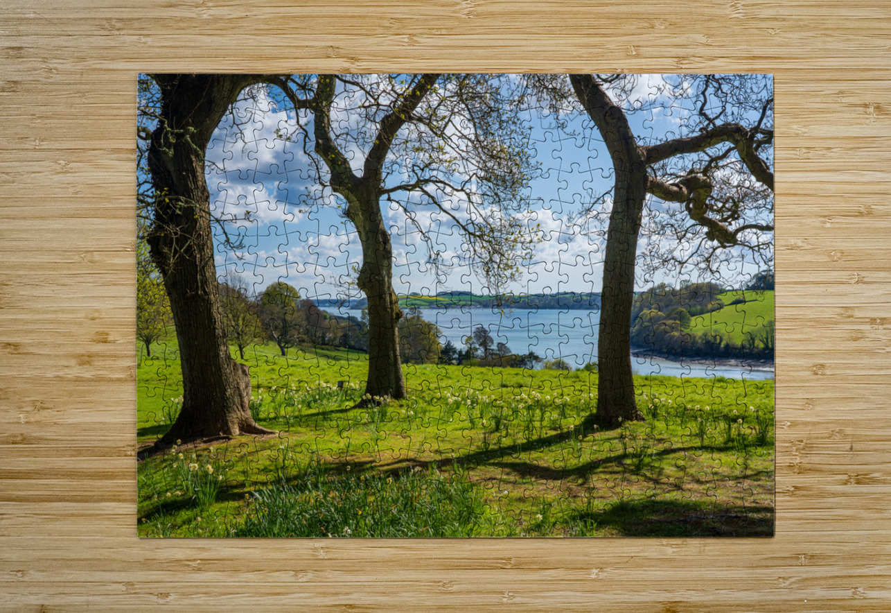 View across daffodils to River Fal near Truro Steve Heap Puzzle printing