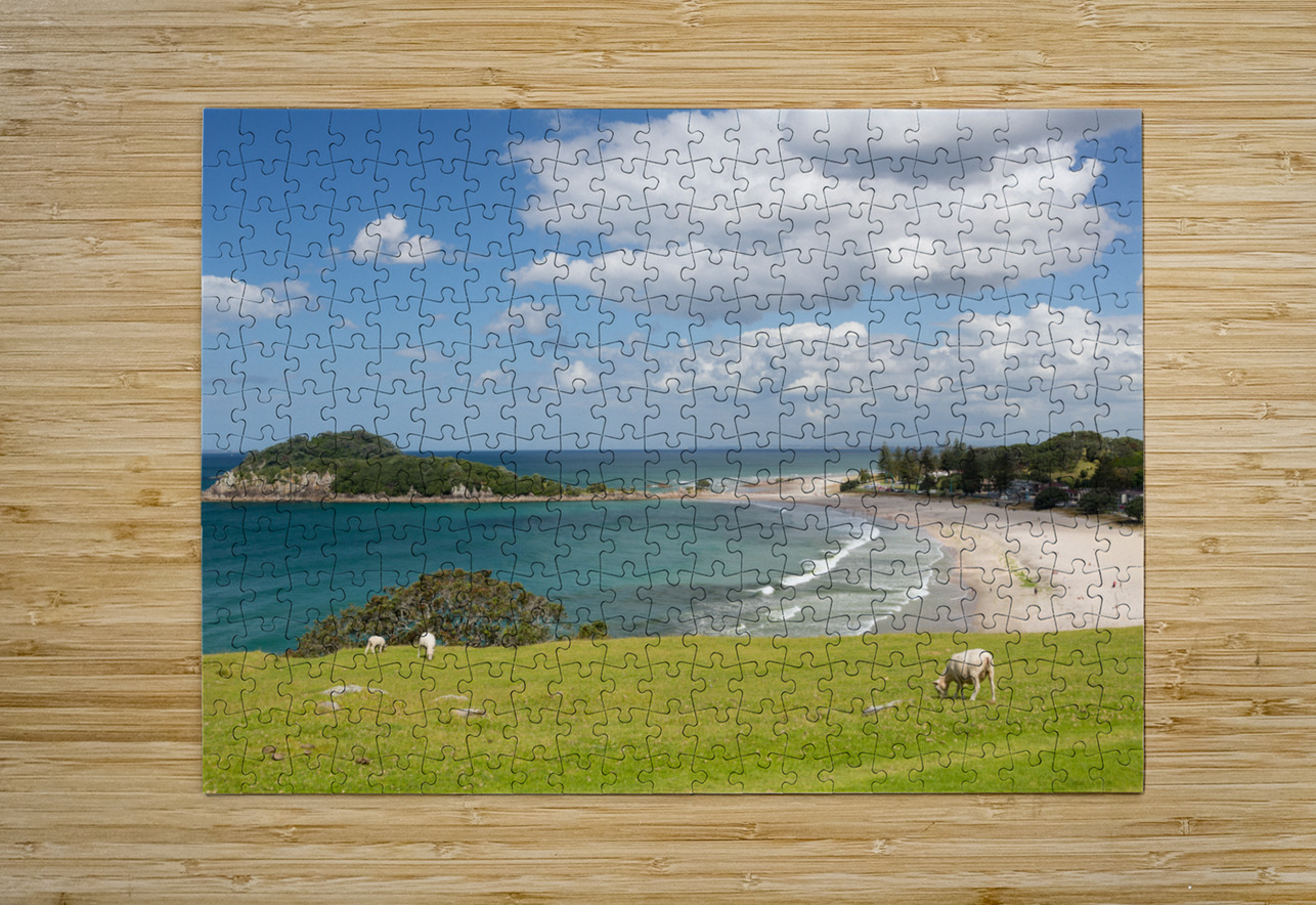 Hike around The Mount at Tauranga in NZ Steve Heap Puzzle printing