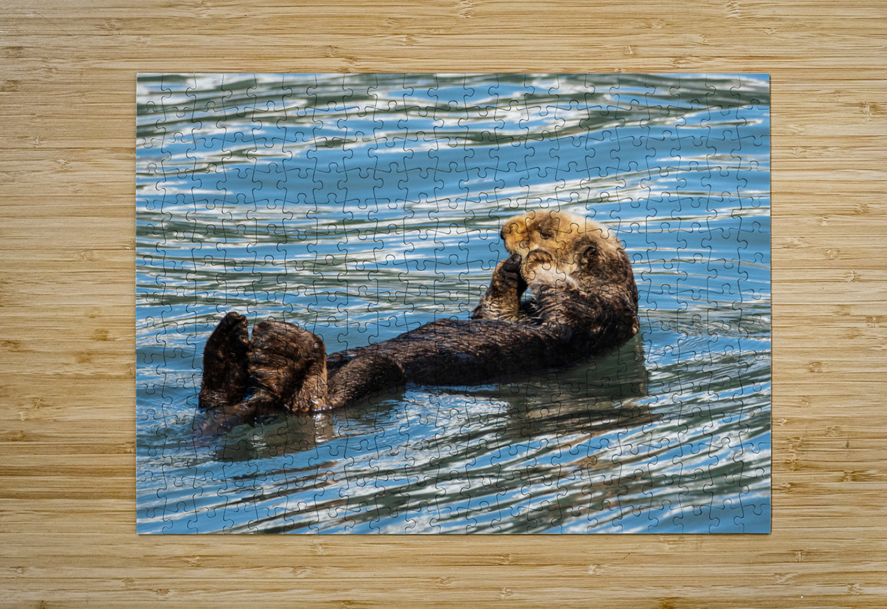 Sea Otter floating in Resurrection Bay near Seward Steve Heap Puzzle printing