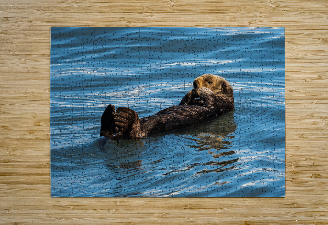 Sea Otter floating in Resurrection Bay near Seward Steve Heap Puzzle printing