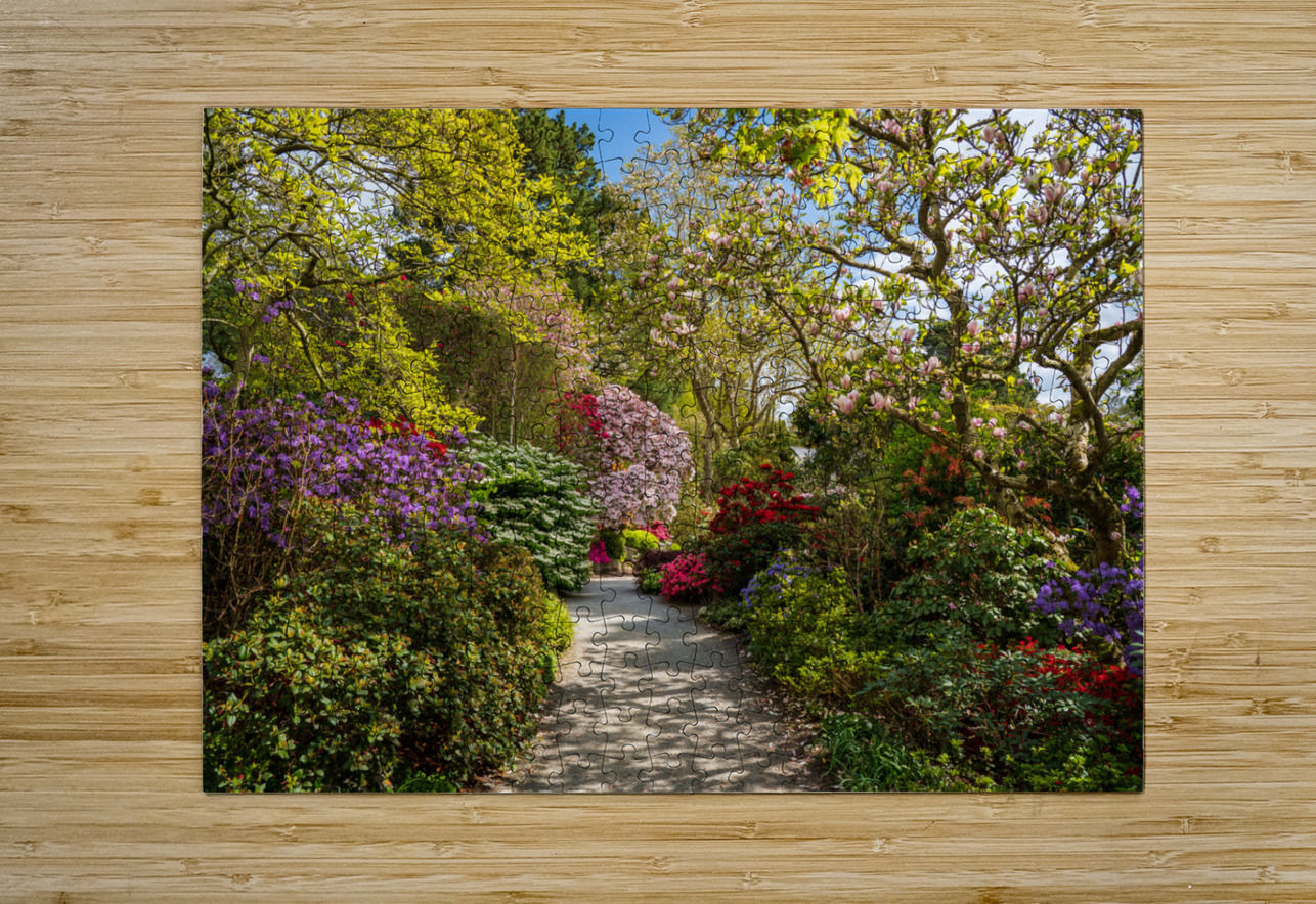 Pathway through Azaleas and Rhododendron trees in spring Steve Heap Puzzle printing