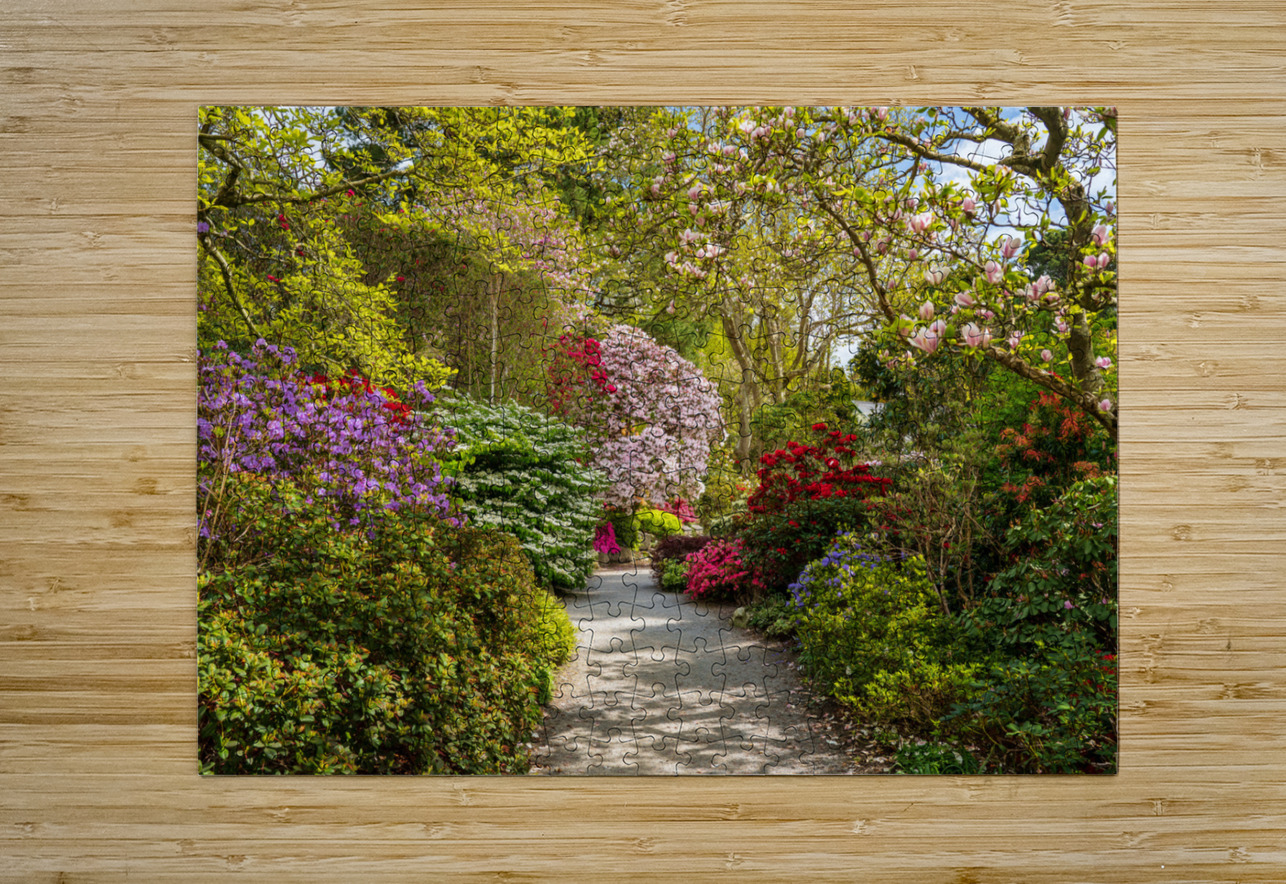 Path leads to Azaleas and Rhododendron trees in spring Steve Heap Puzzle printing