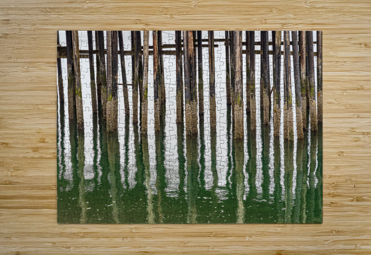 Old wooden pier structure in bay at Icy Strait Point in Alaska Steve Heap Puzzle printing