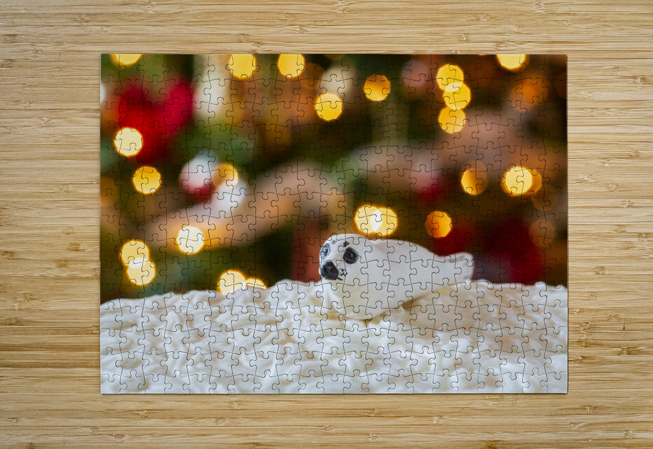 Seal on Christmas cake with tree lights Steve Heap Puzzle printing