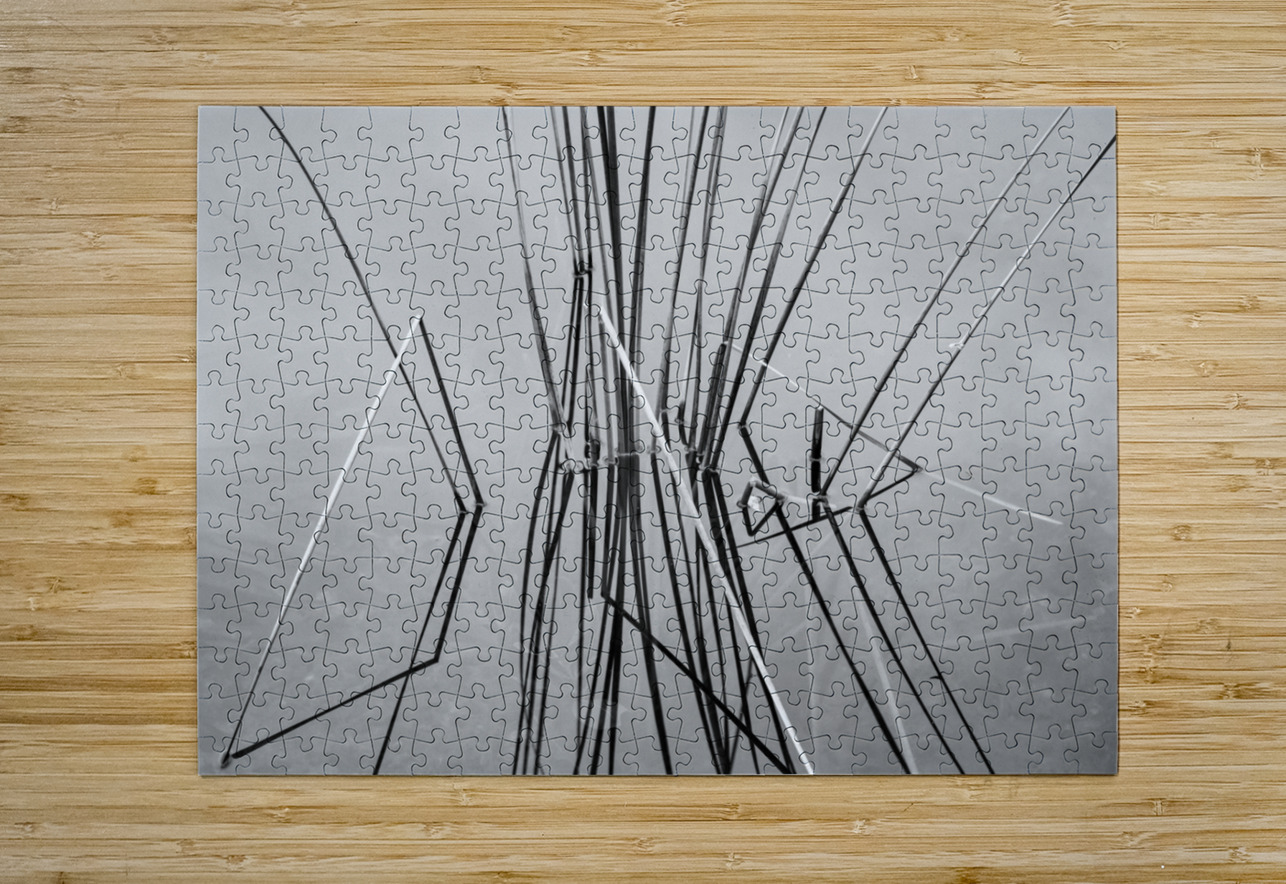 Empty bed of reeds in Everglades Florida Steve Heap Puzzle printing