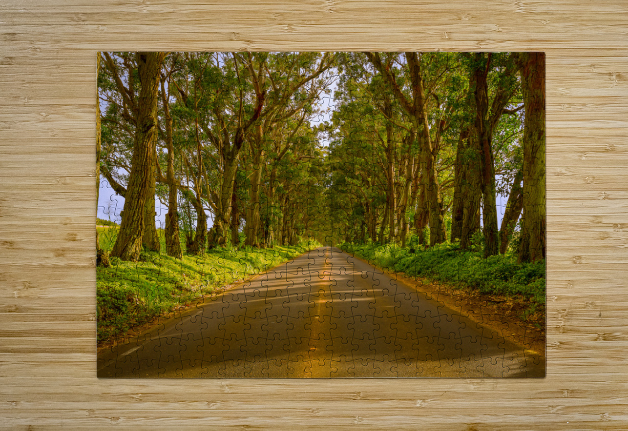 Famous Tree Tunnel of Eucalyptus trees Steve Heap Puzzle printing