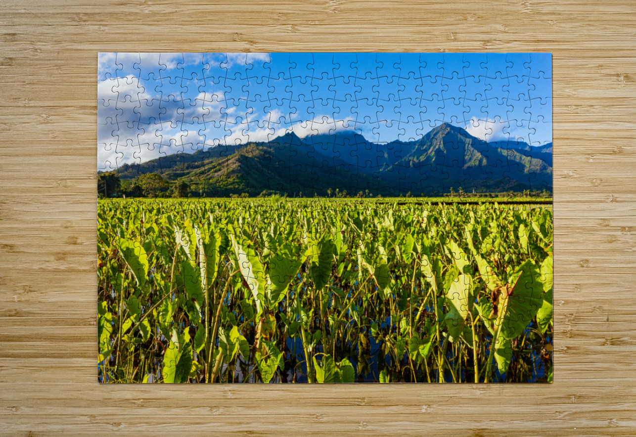 Hanalei Valley in Kauai Steve Heap Puzzle printing