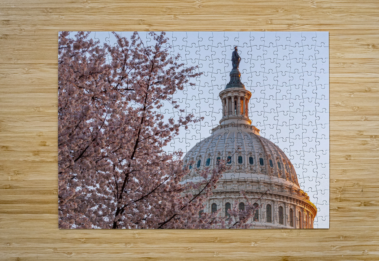 Cherry blossoms by the Capitol dome at dawn Steve Heap Puzzle printing