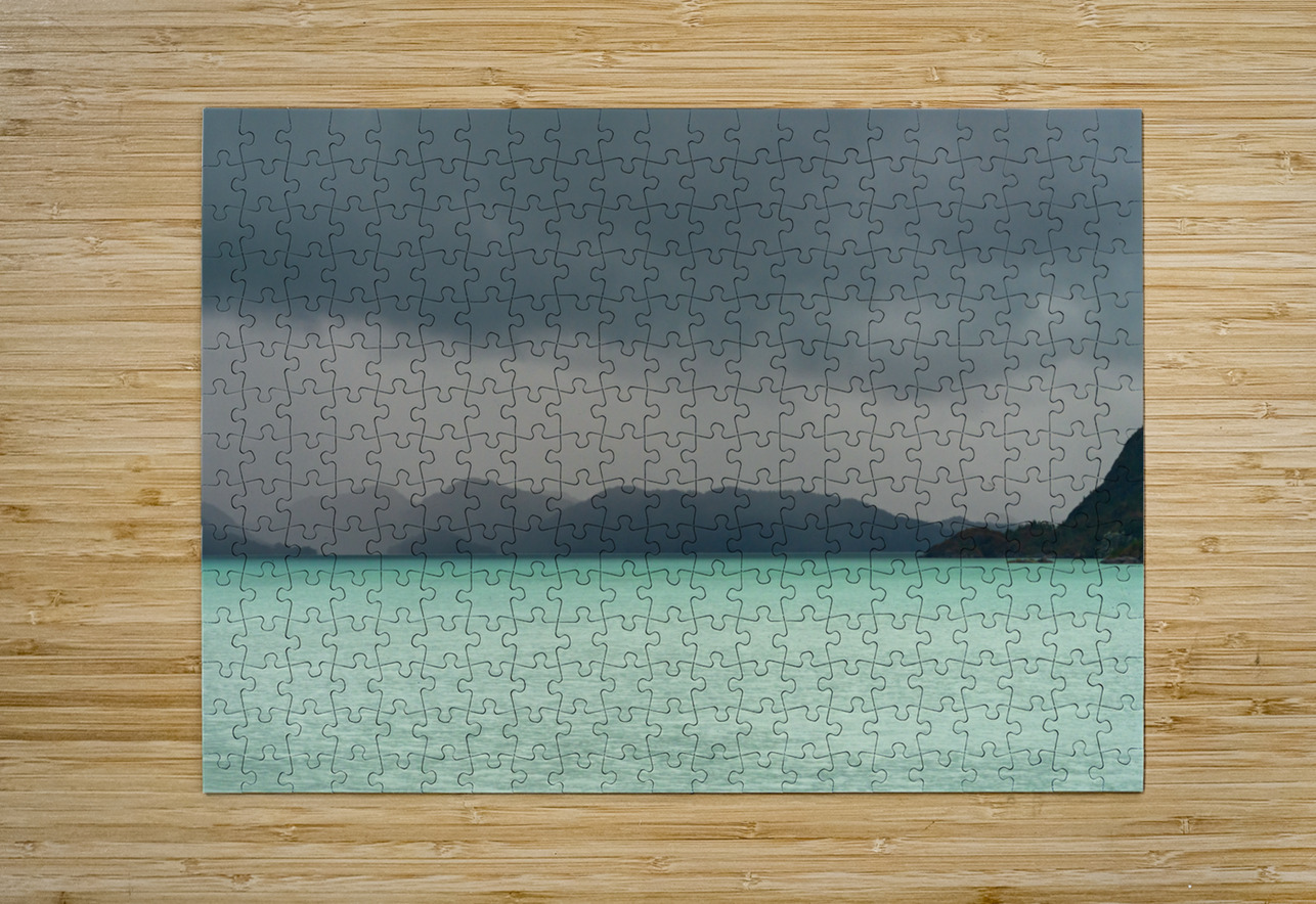 Milky ocean approaching Amalia Glacier due to suspended clay Steve Heap Puzzle printing