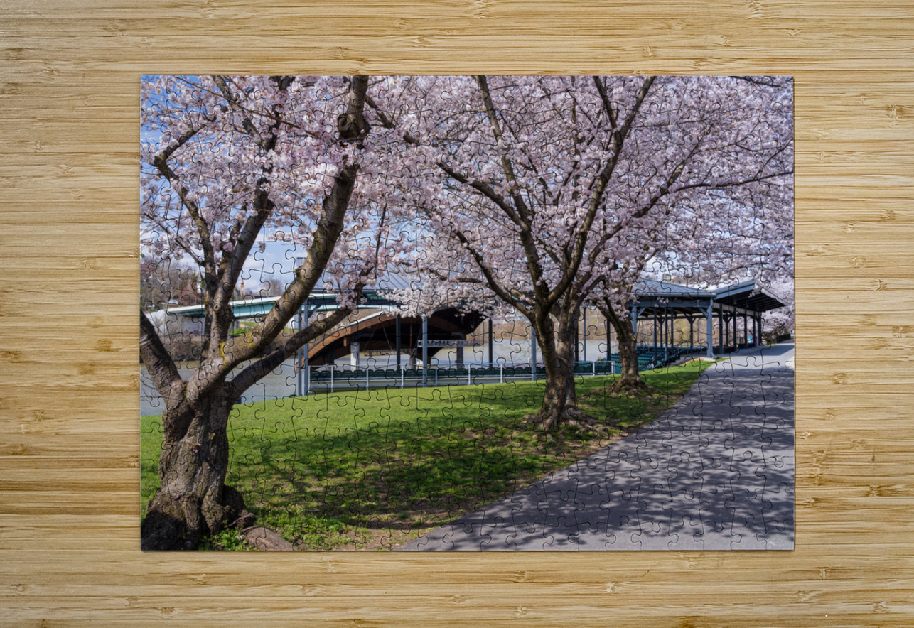 Ruby Amphitheater by walking trail  by the river in Morgantown W Steve Heap Puzzle printing