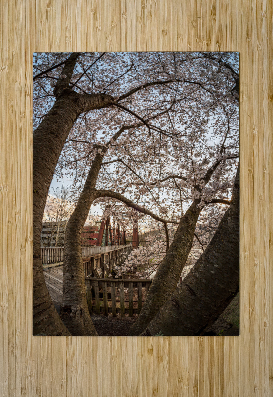 Steel girder bridge carries the bike walking trail over Deckers  Steve Heap Puzzle printing
