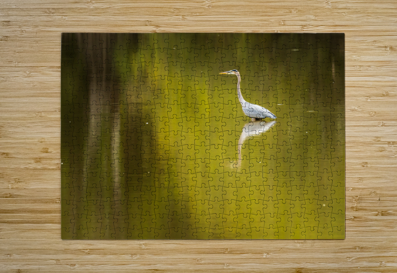 Great blue heron standing in calm water in Atchafalaya basin Steve Heap Puzzle printing