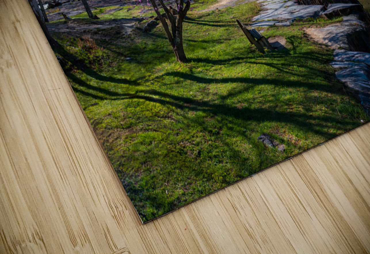Redbud blossoms by Bench and Valley Falls WV on a bright spring morning Steve Heap Puzzle