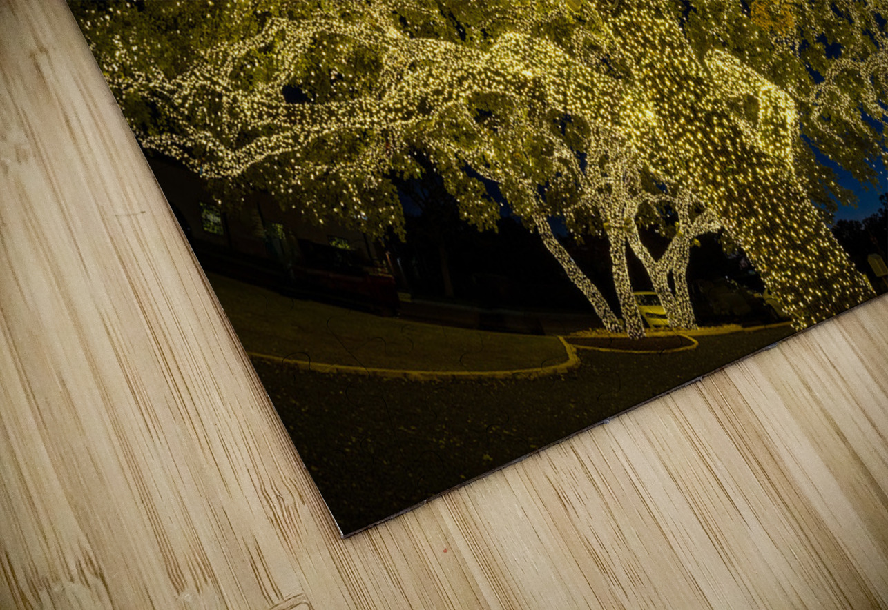 Holiday lights spectacular in Johnson City Texas Steve Heap Puzzle