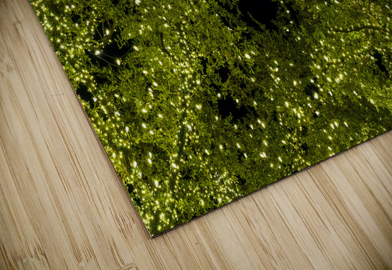 Holiday lights spectacular in trees of Johnson City Texas Steve Heap Puzzle