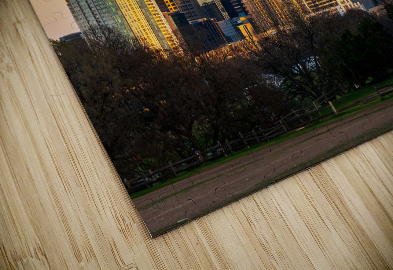 Cityscape of downtown Austin from the west in Zilker park 2025 Steve Heap Puzzle