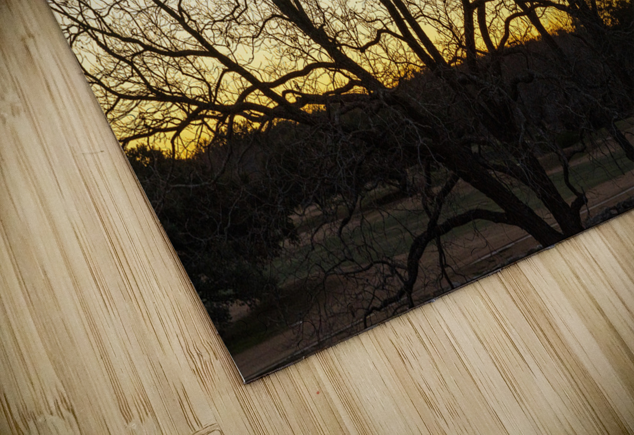 Dramatic sunset over Legacy Hills Park lake with details of tree Steve Heap Puzzle