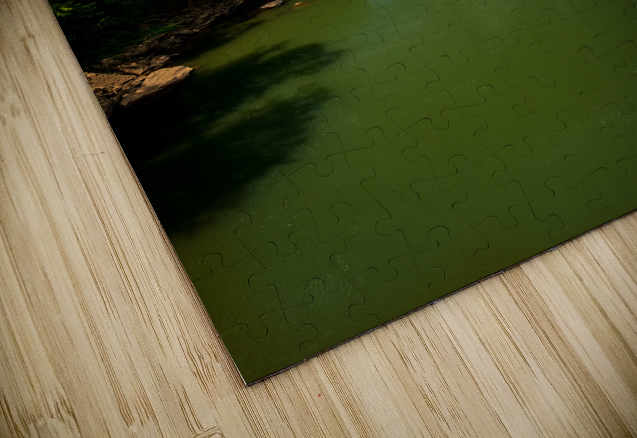 Rafters at the New River Gorge Bridge Steve Heap Puzzle
