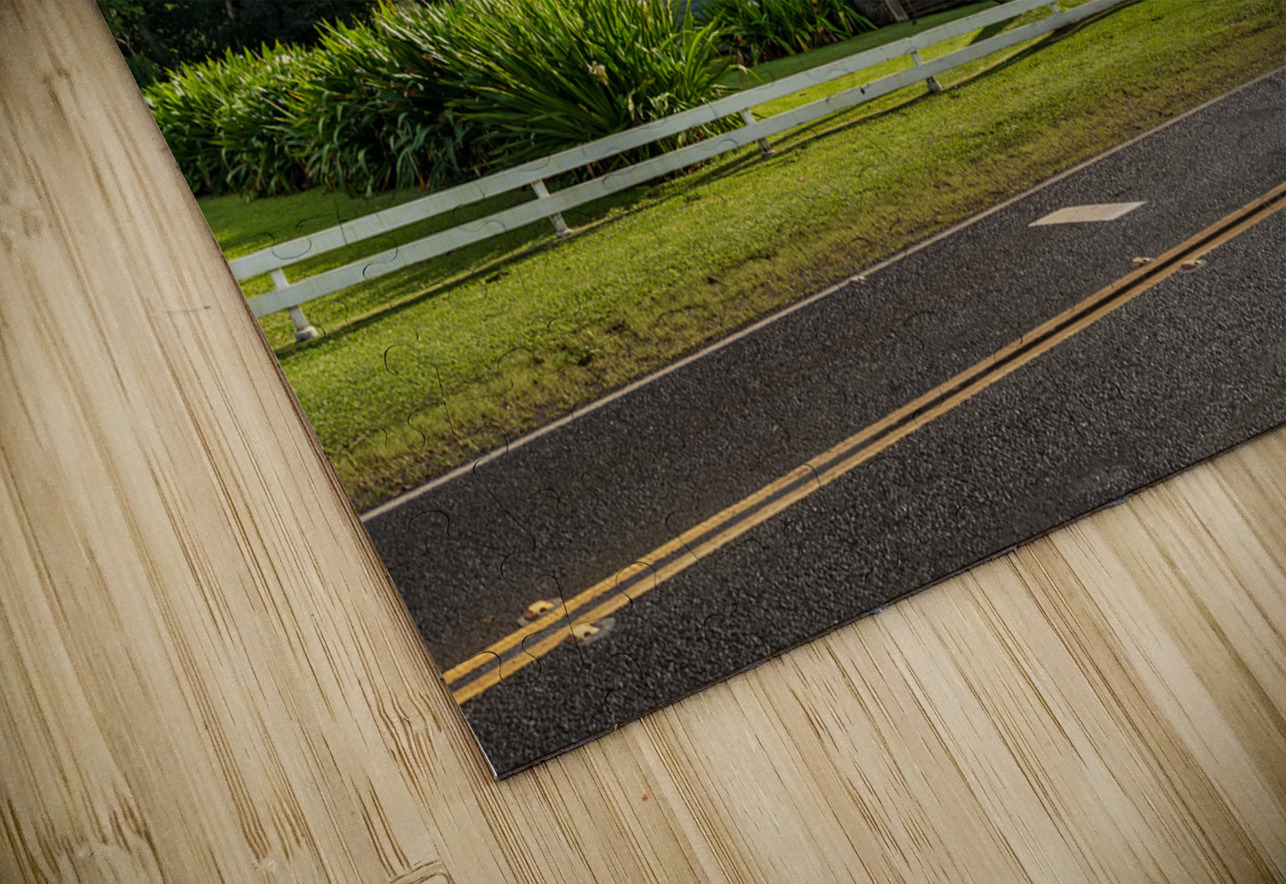Waioli Huiia Church stands in Hanalei Kauai with waterfalls in Steve Heap Puzzle
