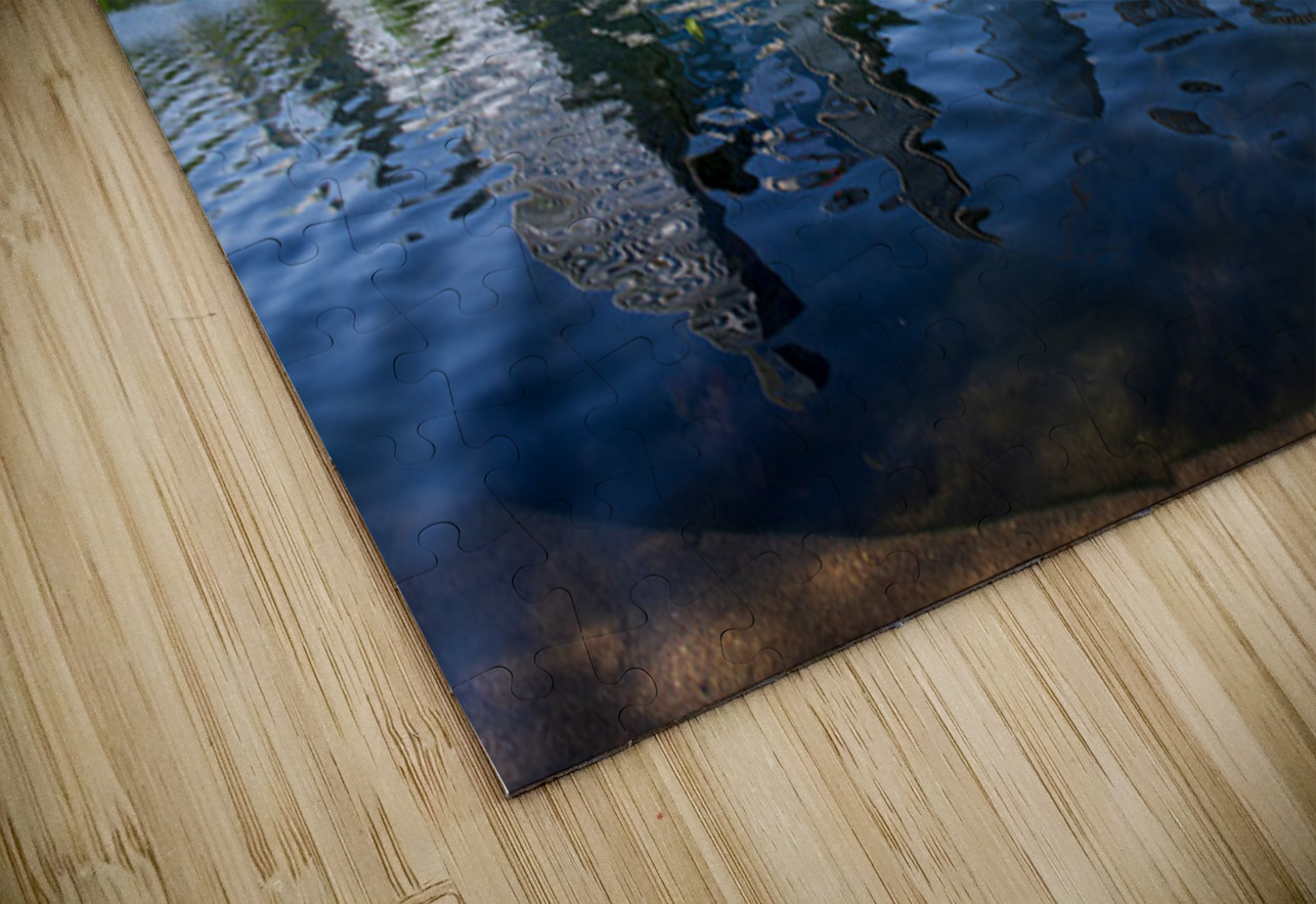 Fisheye lens view of Austin skyline including Lady Bird Lake Steve Heap Puzzle