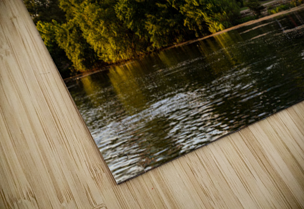 Detail Austin Central Library on waterfront in city skyline Texas Steve Heap Puzzle