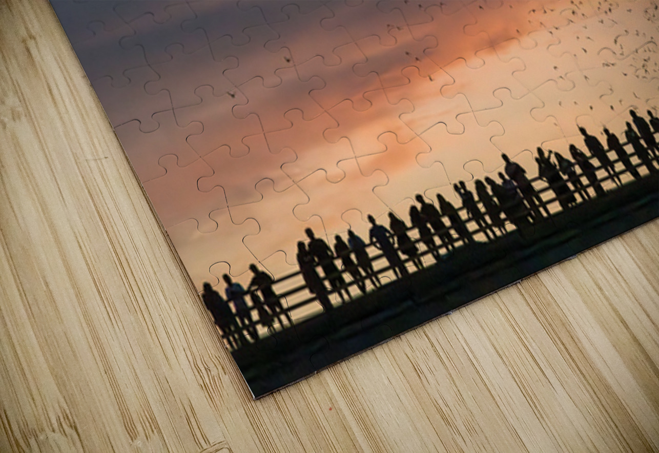 Bat watchers crowd on Congress Avenue bridge as bats fly  Steve Heap Puzzle