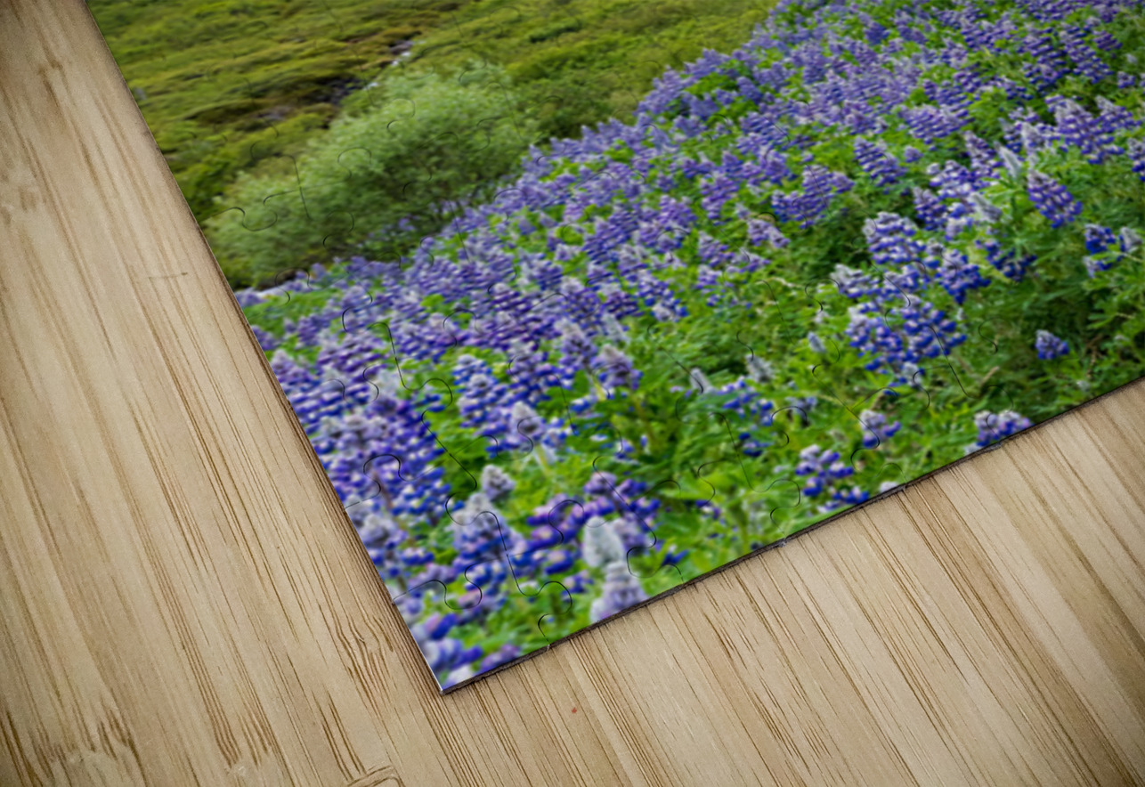 Waterfall in Tunhudalur valley near Isafjordur Iceland with lupi Steve Heap Puzzle