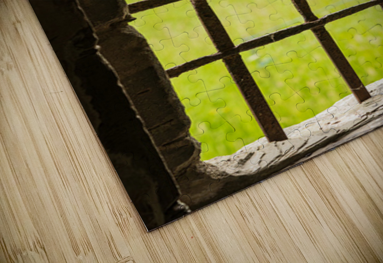 Barn swallow perched on the bars of window of 13th Century forti Steve Heap Puzzle